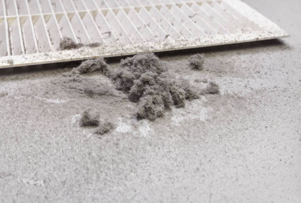 Best Air Duct Cleaning Near Me  in Manor, TX